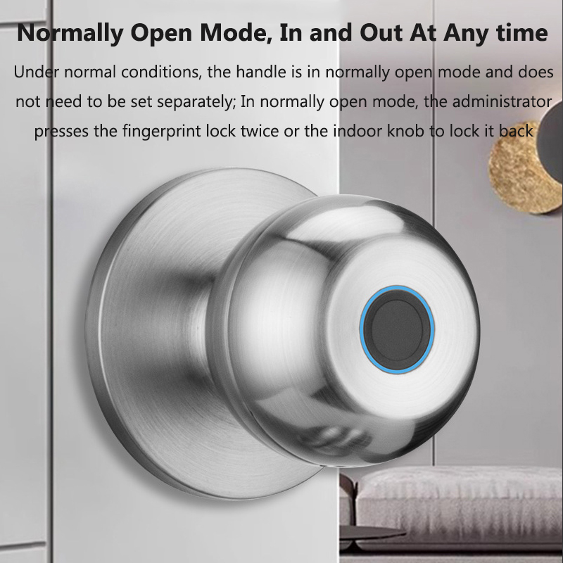 Tuya Türschloss Smart-Fingerpr – Smart Home Lock Bewertung und Preis