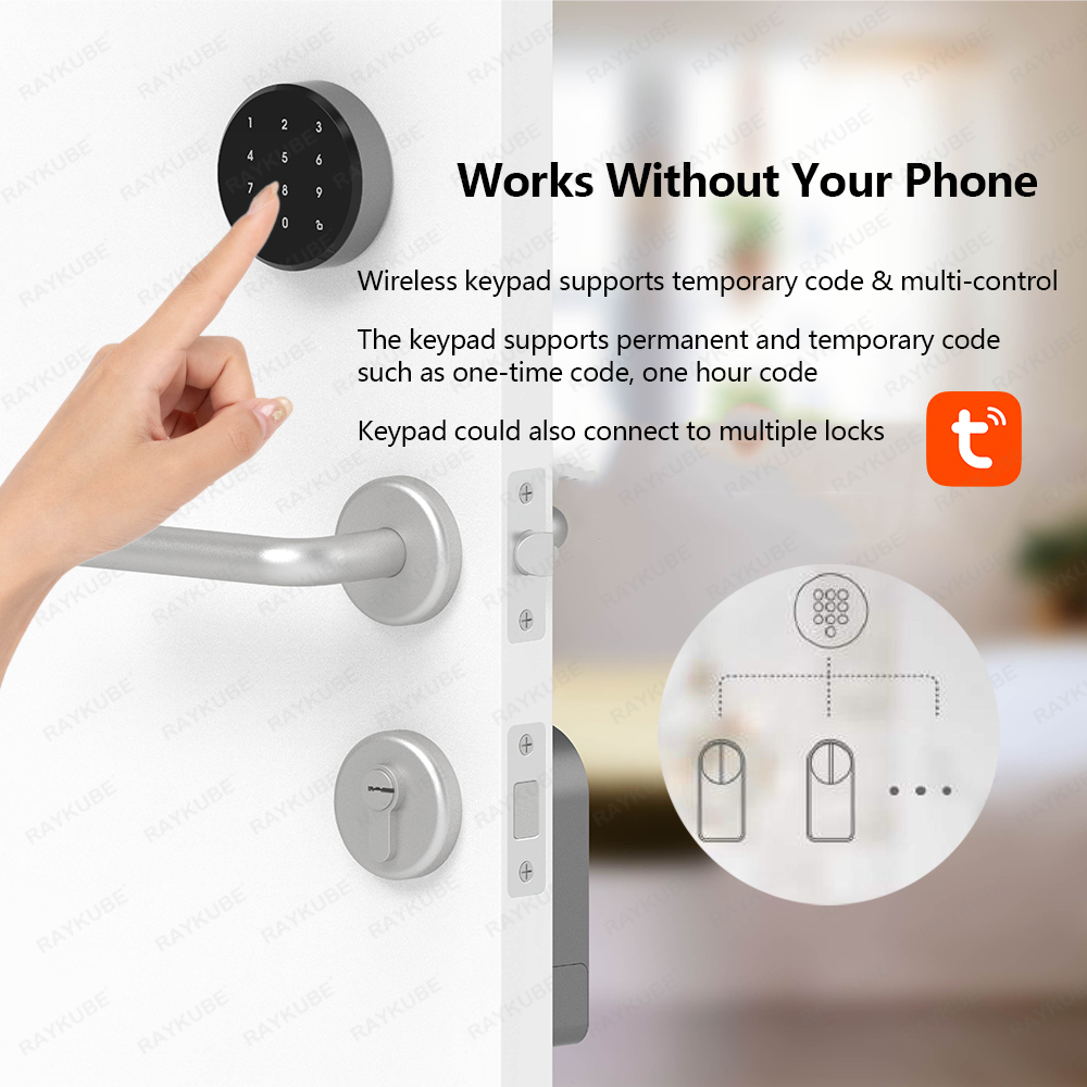 RAYKUBE A1 Pro Tuya BEL Intell – Smart Home Lock Bewertung und Preis