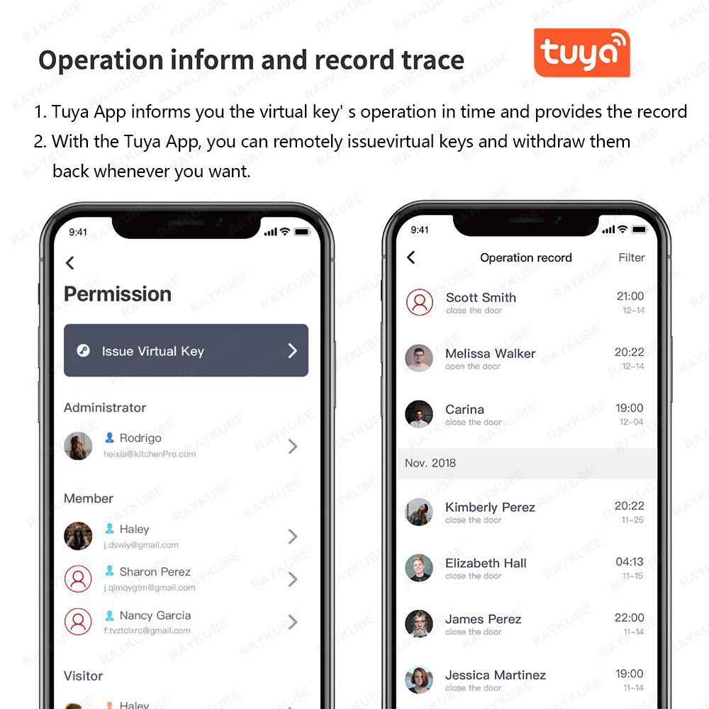 RAYKUBE A1 Pro Tuya BEL Intell – Smart Home Lock Bewertung und Preis