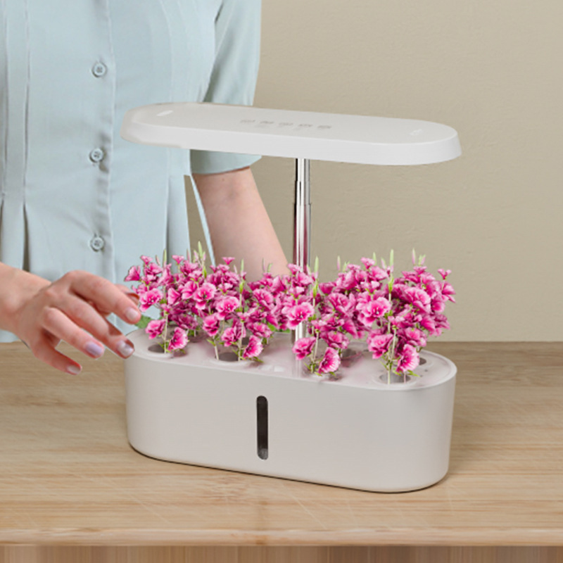 Intelligentes Hydroponisches G – Smart Home In Us Bewertung und Preis