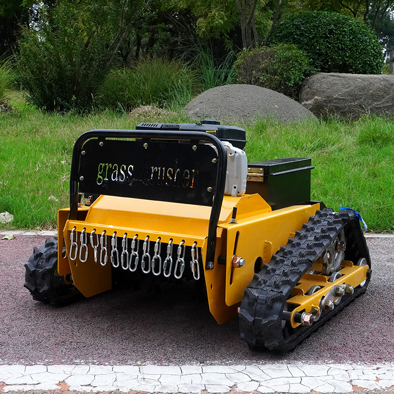 Kundenspezifischer Roboter-Ras – Smart Home Robot Bewertung und Preis