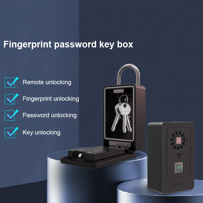 Intelligentes Vorhängeschloss  – Smart Home Lock Bewertung und Preis