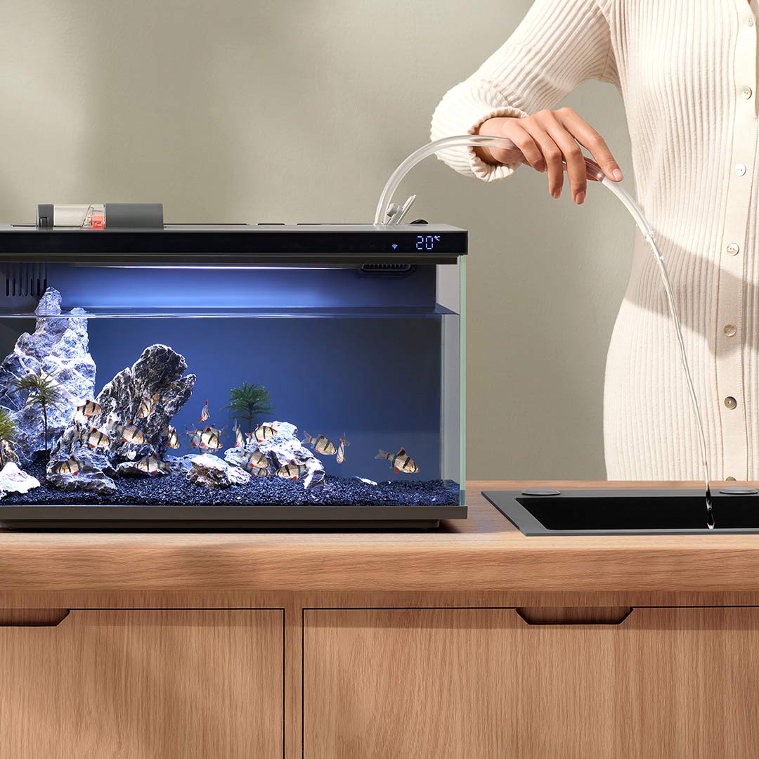 Xiaomi Mijia Smart Fish Tank M – Smart Home Xiaomi Devices Bewertung und Preis