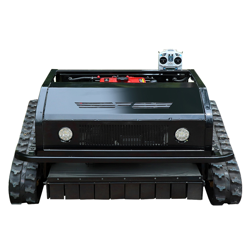 Maßgeschneiderter ferngesteuer – Smart Home Robot Bewertung und Preis