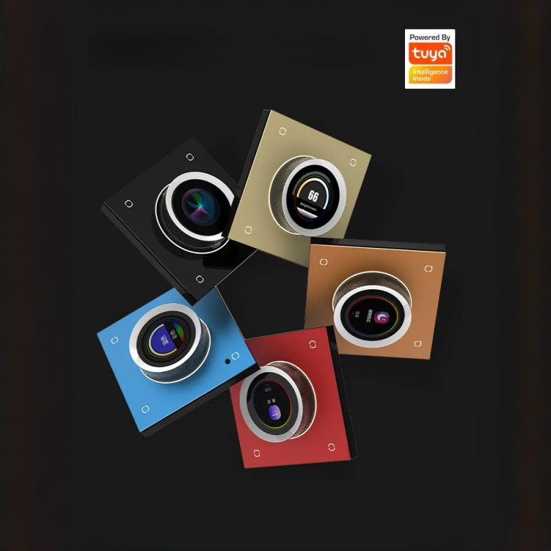 Tuya Smart Offline Sprachgeste – Homesmart Online Bewertung und Preis